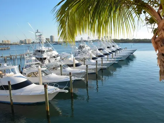cropped_Viking-Yachts